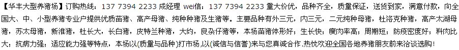 NG体育官方入口沈阳小猪苗销售点(图1)